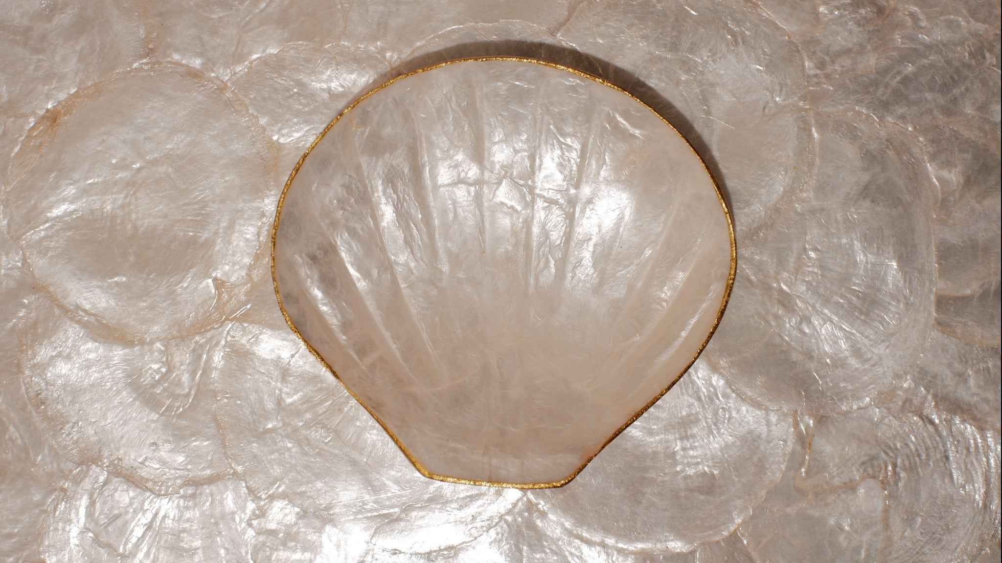 Shells jewelry trays