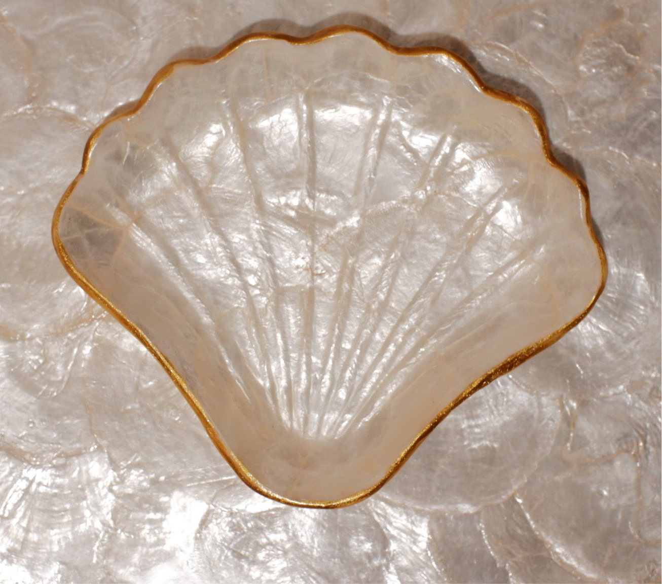 V shells jewelry tray