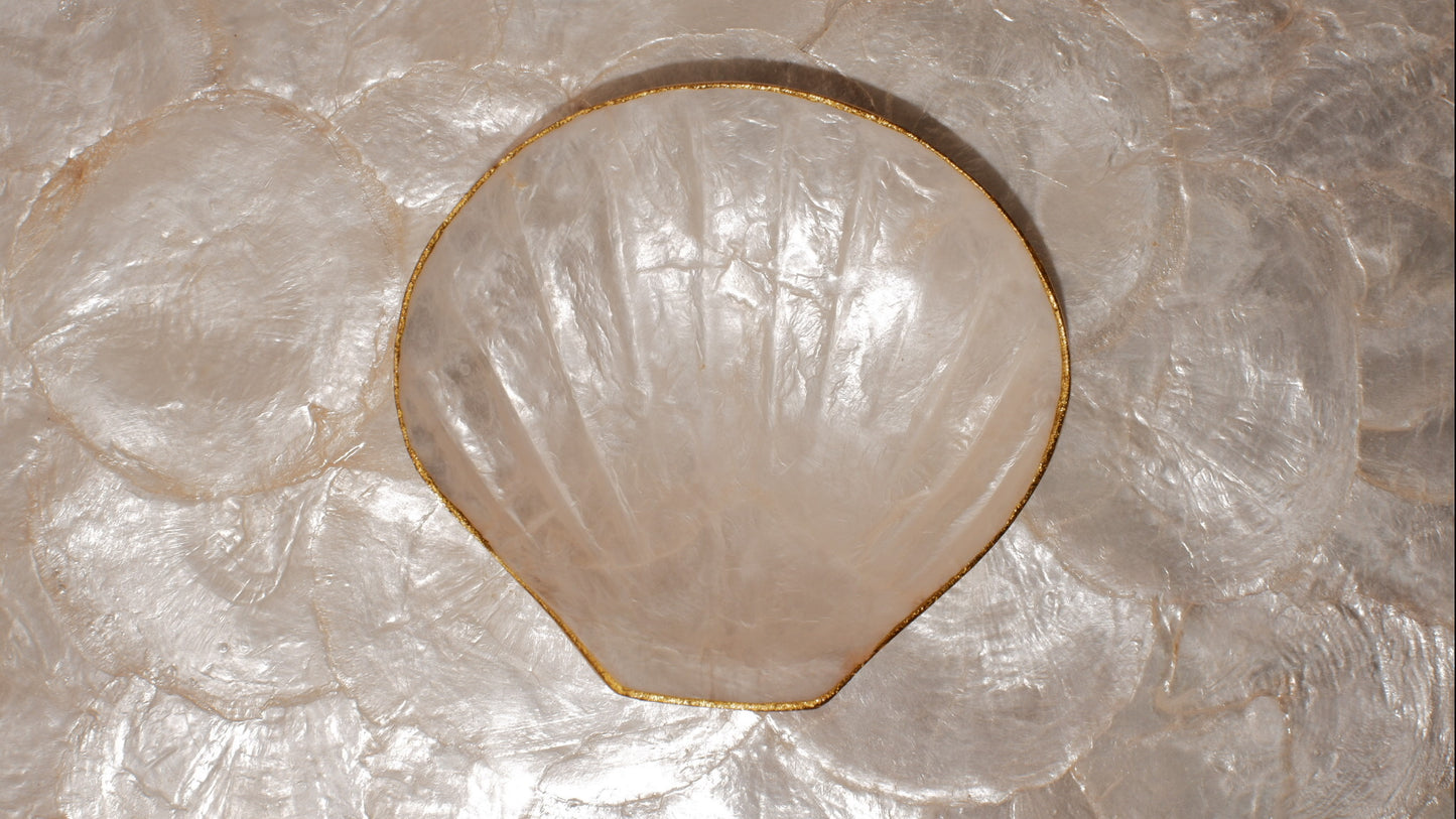 Mini shells tray