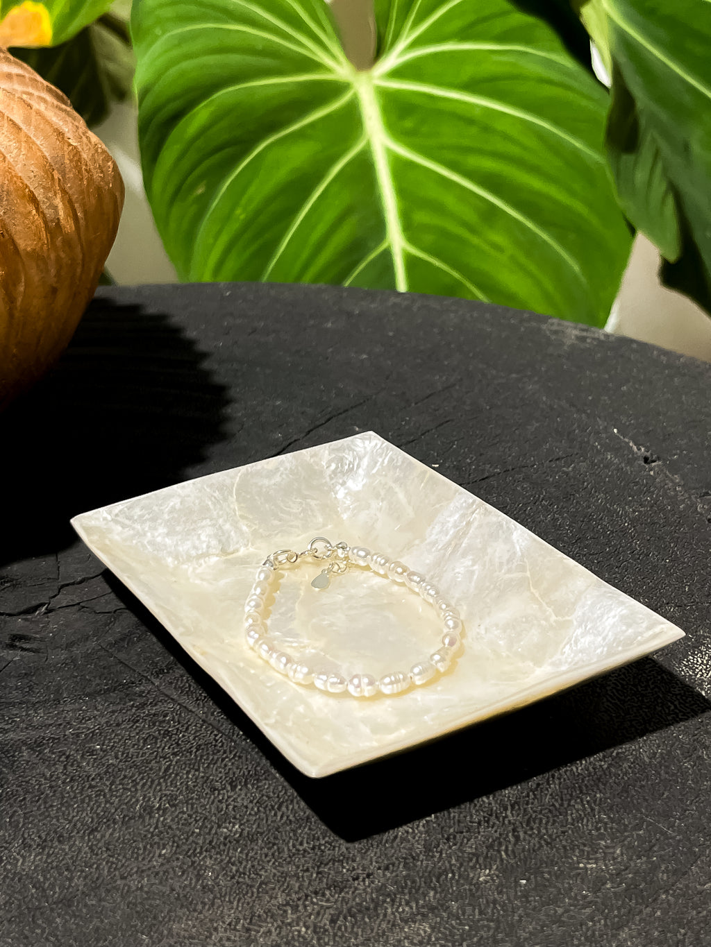 Rectangle Shells Jewelry Trays