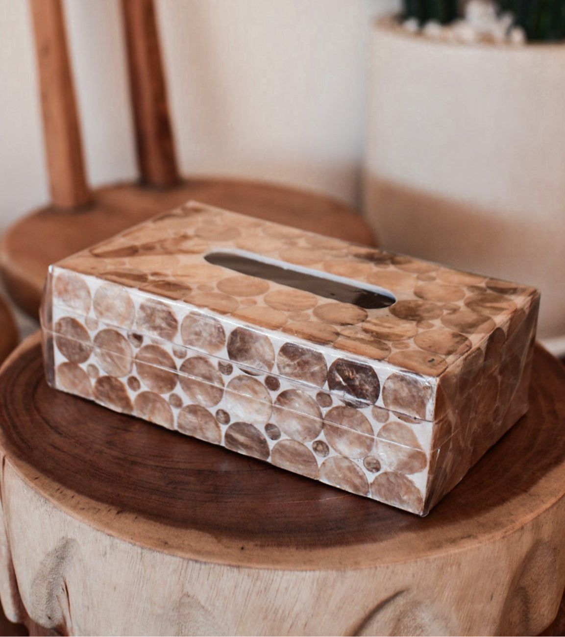Shells Tissue Box