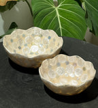 Floral Shells Bowl Decorative