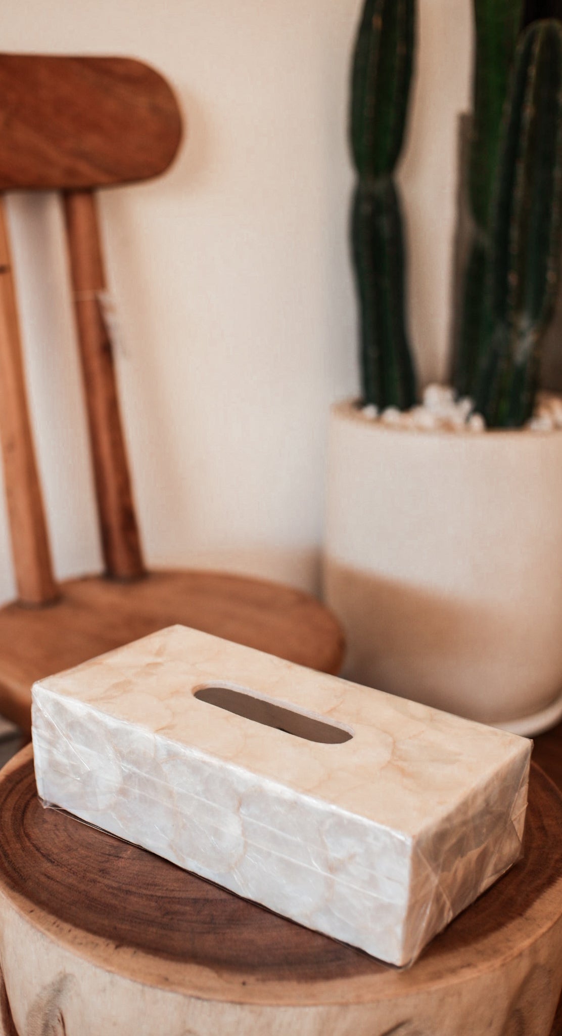 Shells Tissue Box
