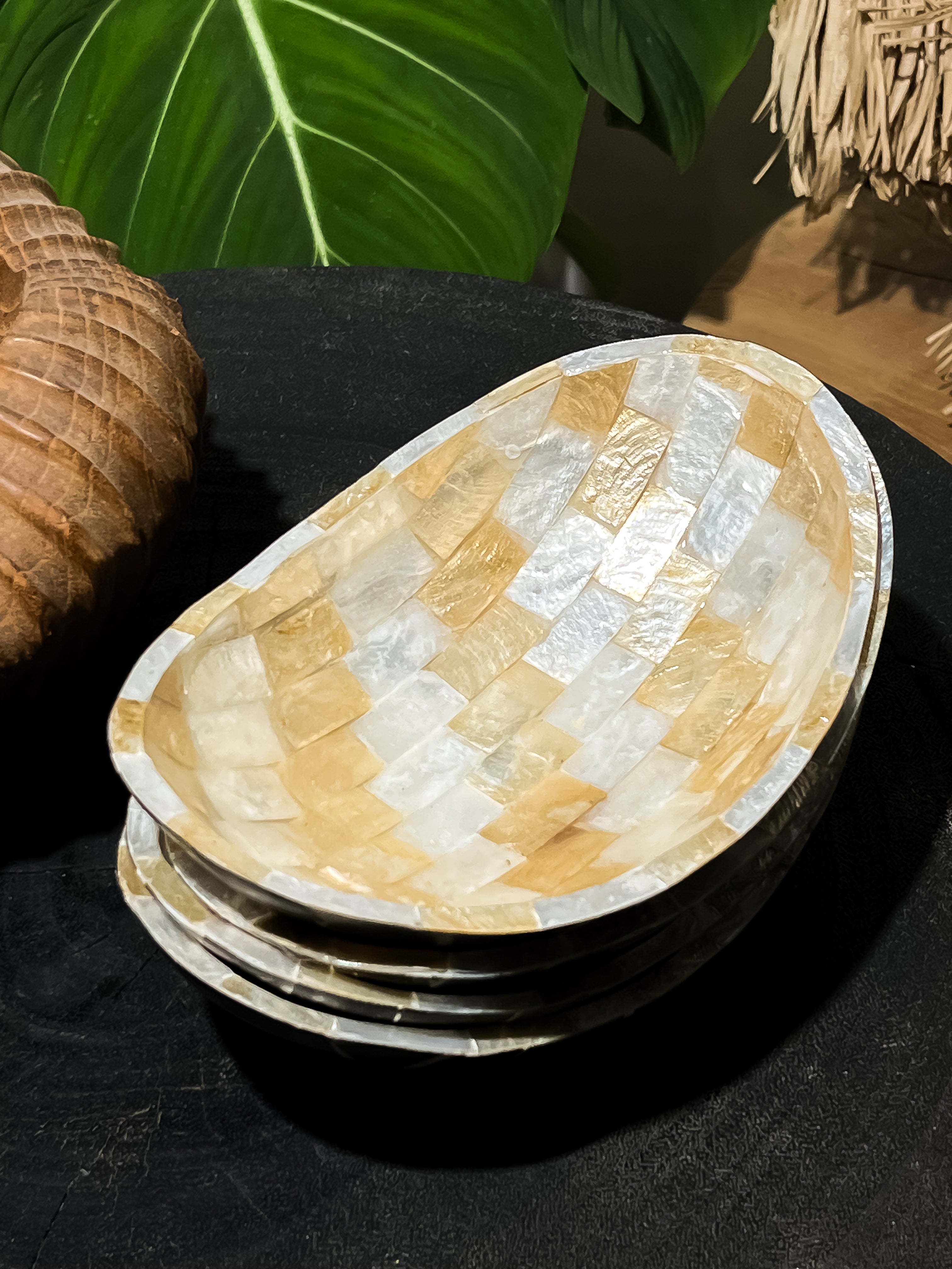Decorative medium oval shells bowl with coconut shells