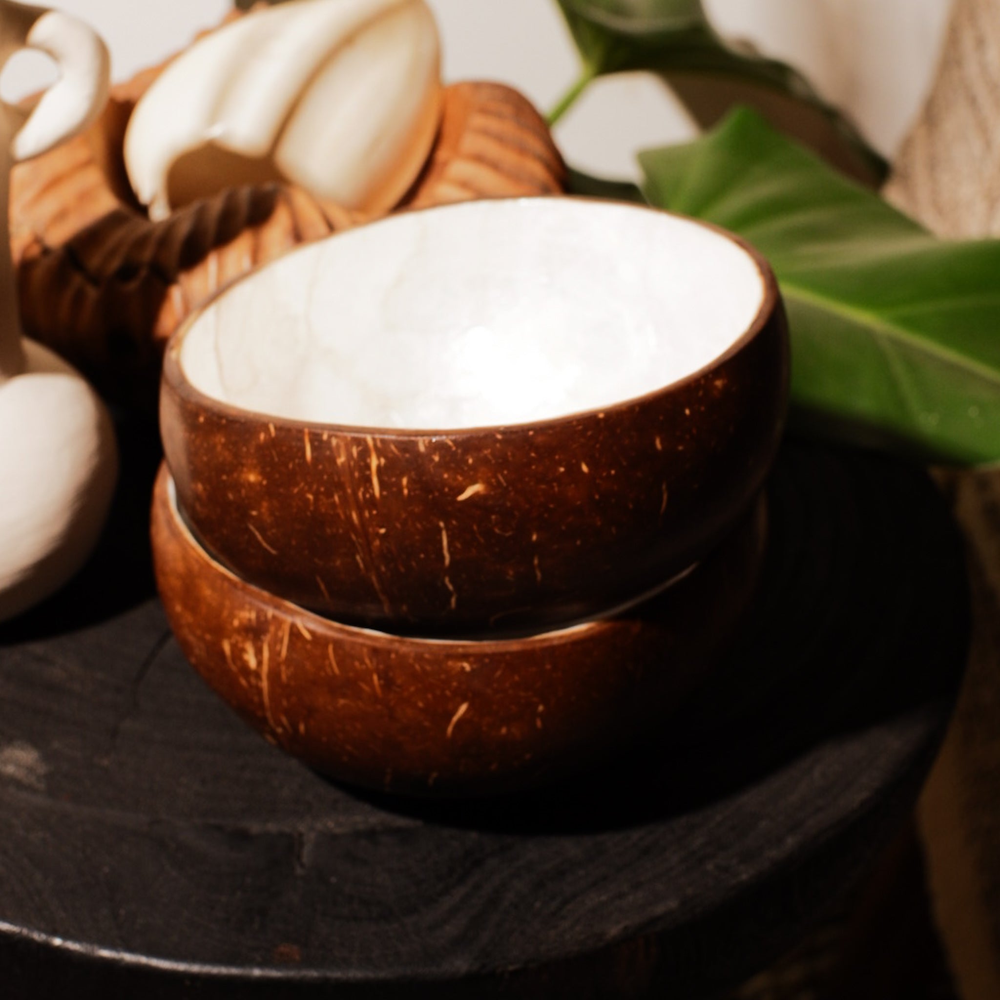 Coconut Bowl coating shells