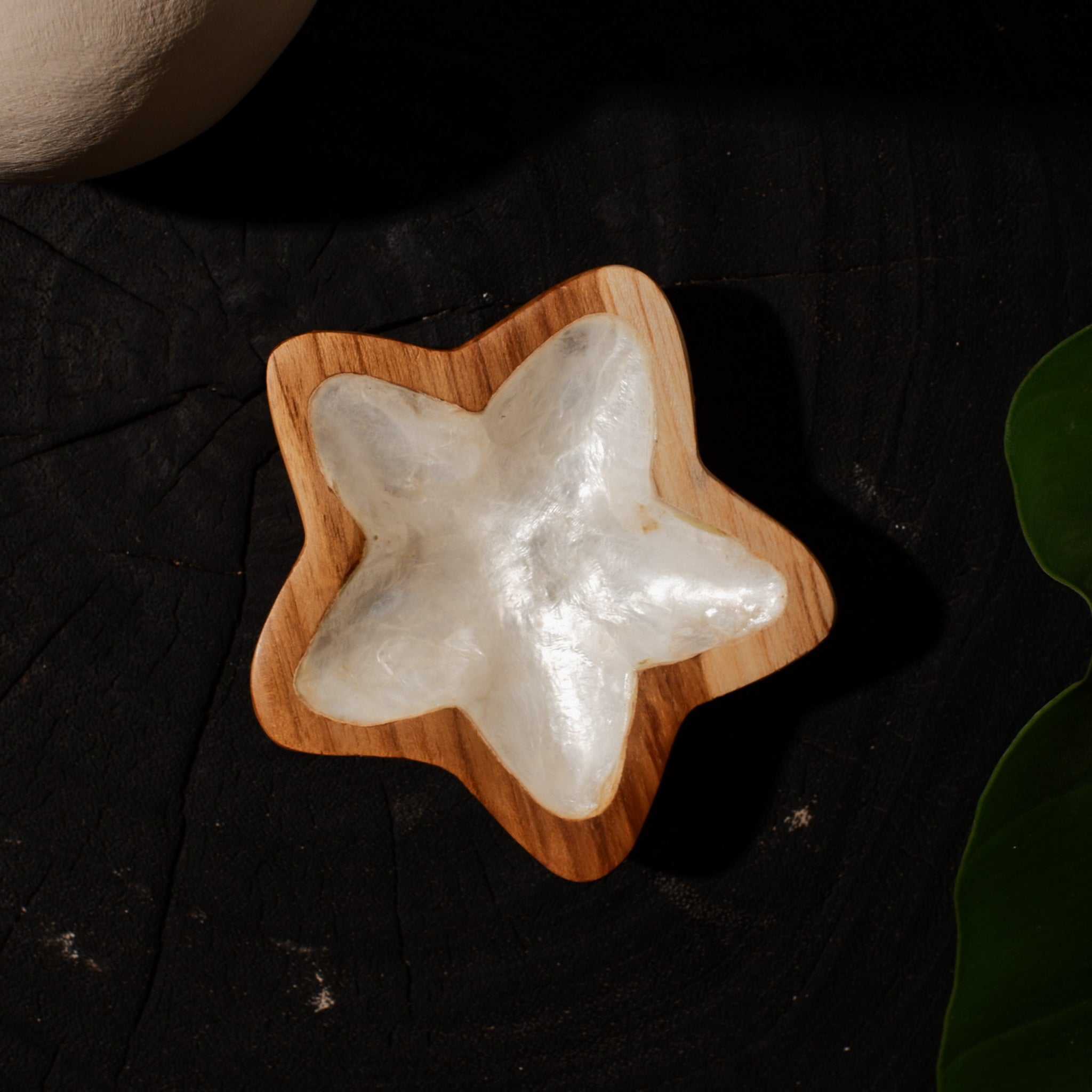 Star tray wooden teak wood coating with the shells