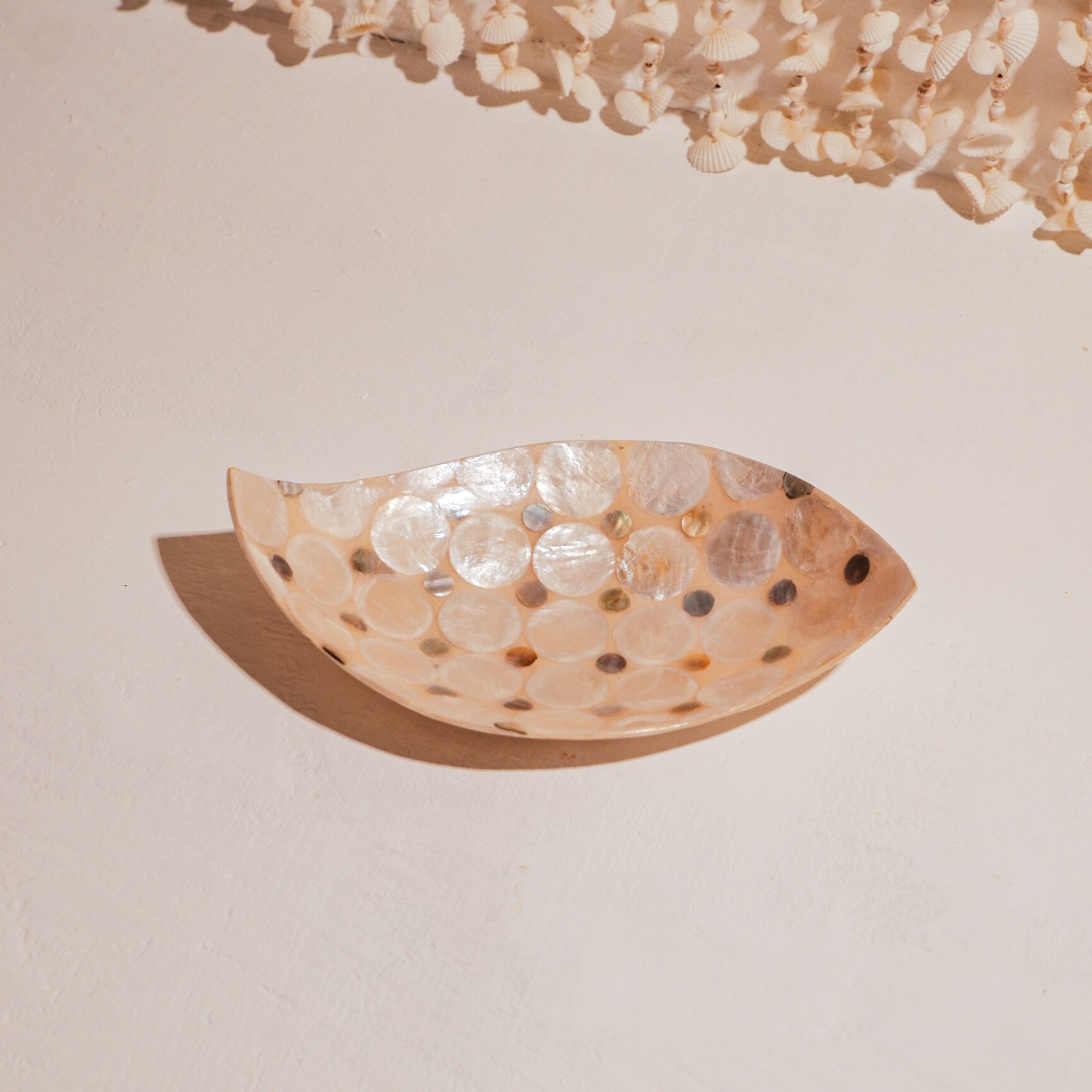 Curve shape  shells decorative bowl