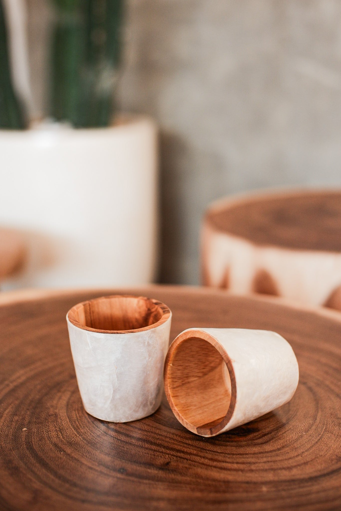 Wooden sloki mini cup with shells