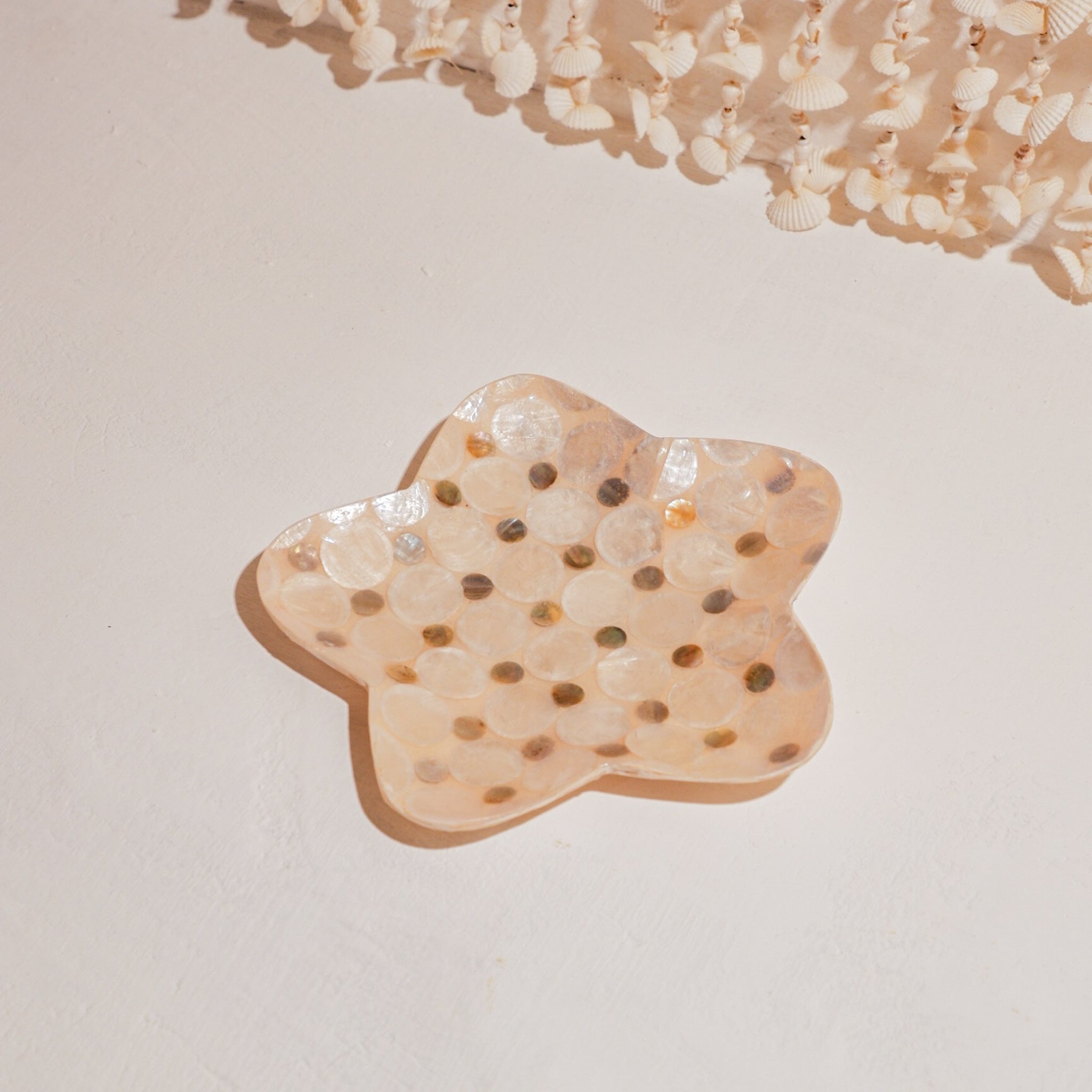 Lintang Star Shells Jewelry Tray Circle Shells Pattern