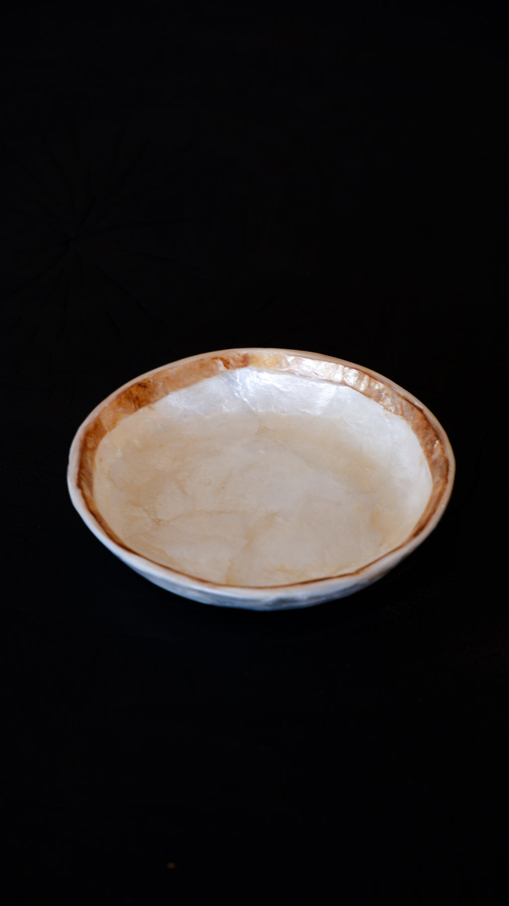 Round Shells Jewelry Tray