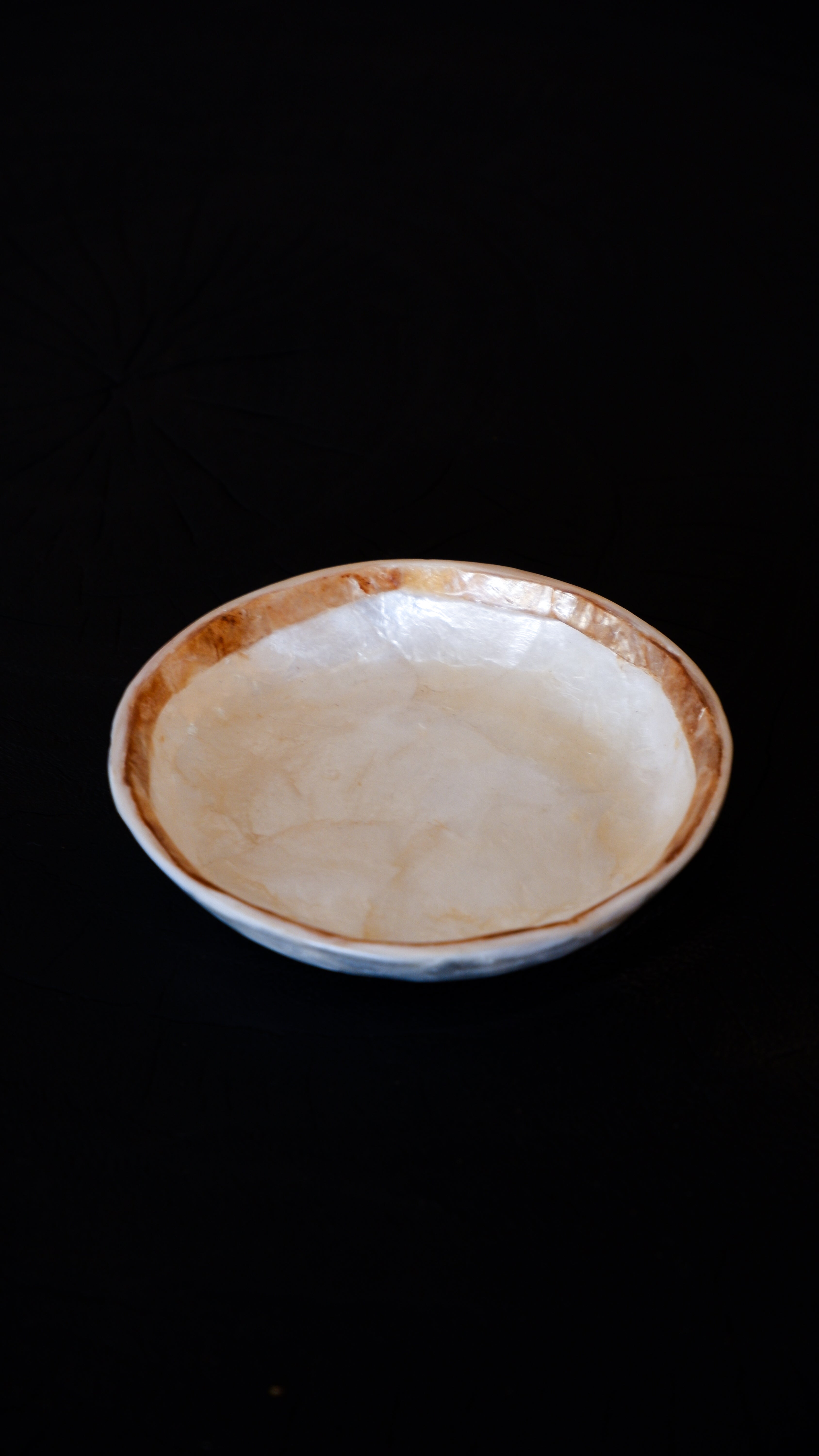 Round Shells Jewelry Tray