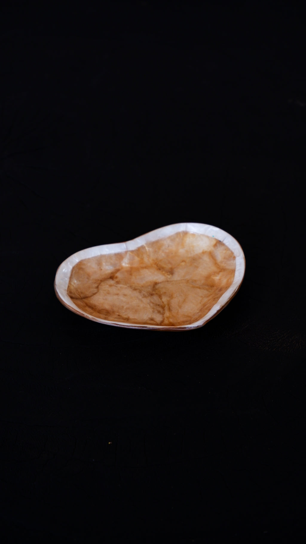 Love Shells Jewelry Tray