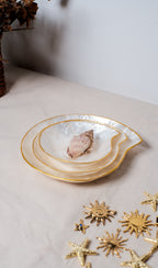 Nautilus Shells Jewelry Tray