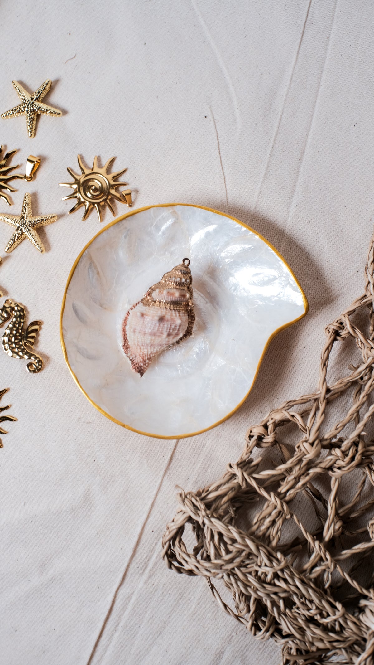Nautilus Shells Jewelry Tray