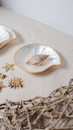 Nautilus Shells Jewelry Tray