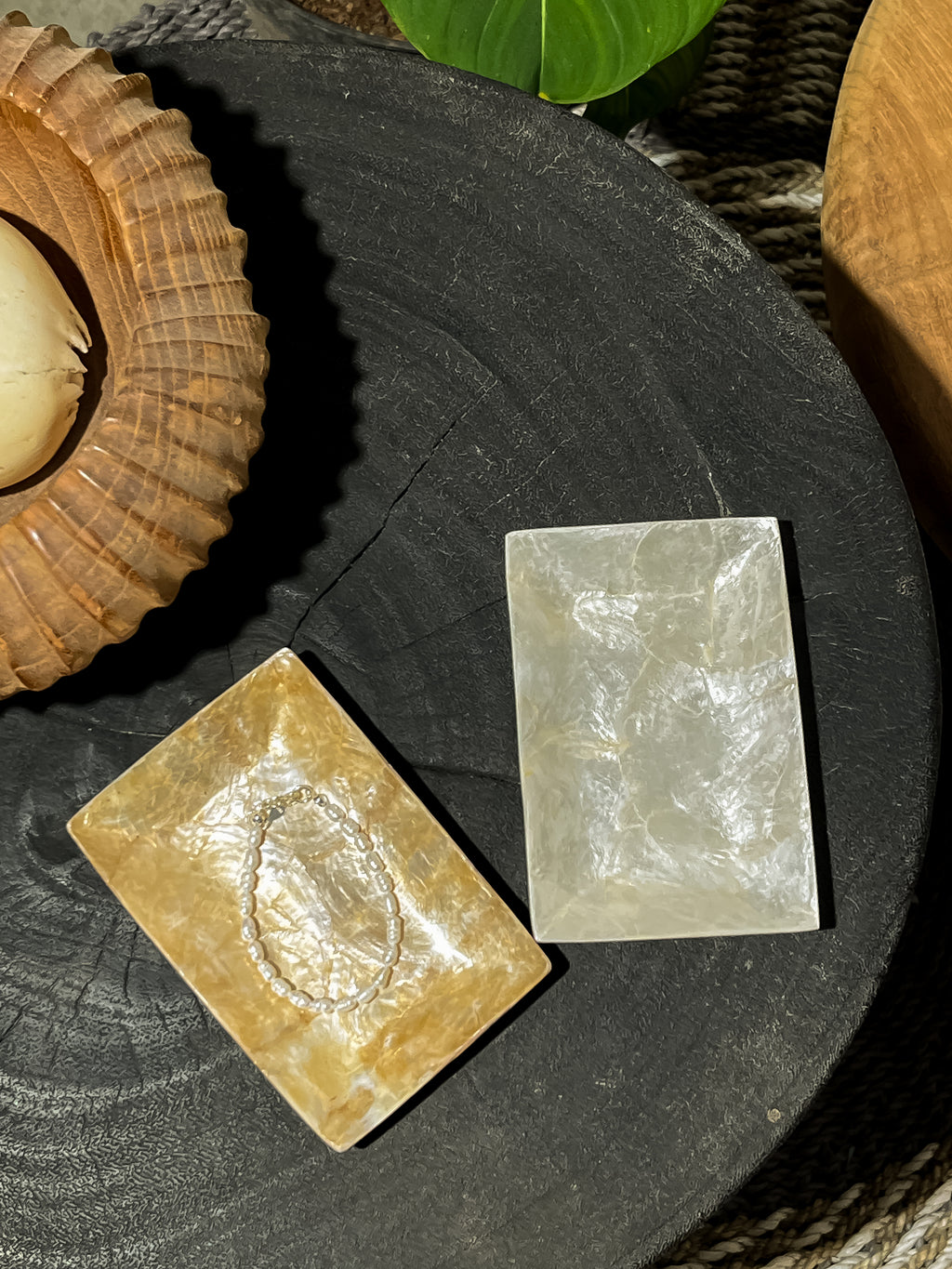 Rectangle Shells Jewelry Trays