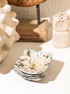Mini Square Shells Jewelry Trays