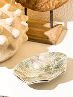 Silver Blau Shell Jewelry Tray