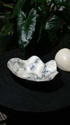 Black Shells Decorative Bowl