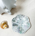Silver Flower Shells Jewelry Trays