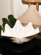 Shells Reclaimed Large Decorative