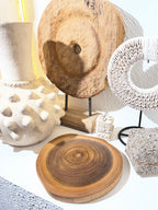 Slice Of Wood Plate