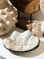 Black Shells Decorative Bowl