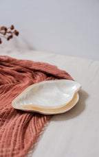 Conch Sea Shells Jewelry Trays