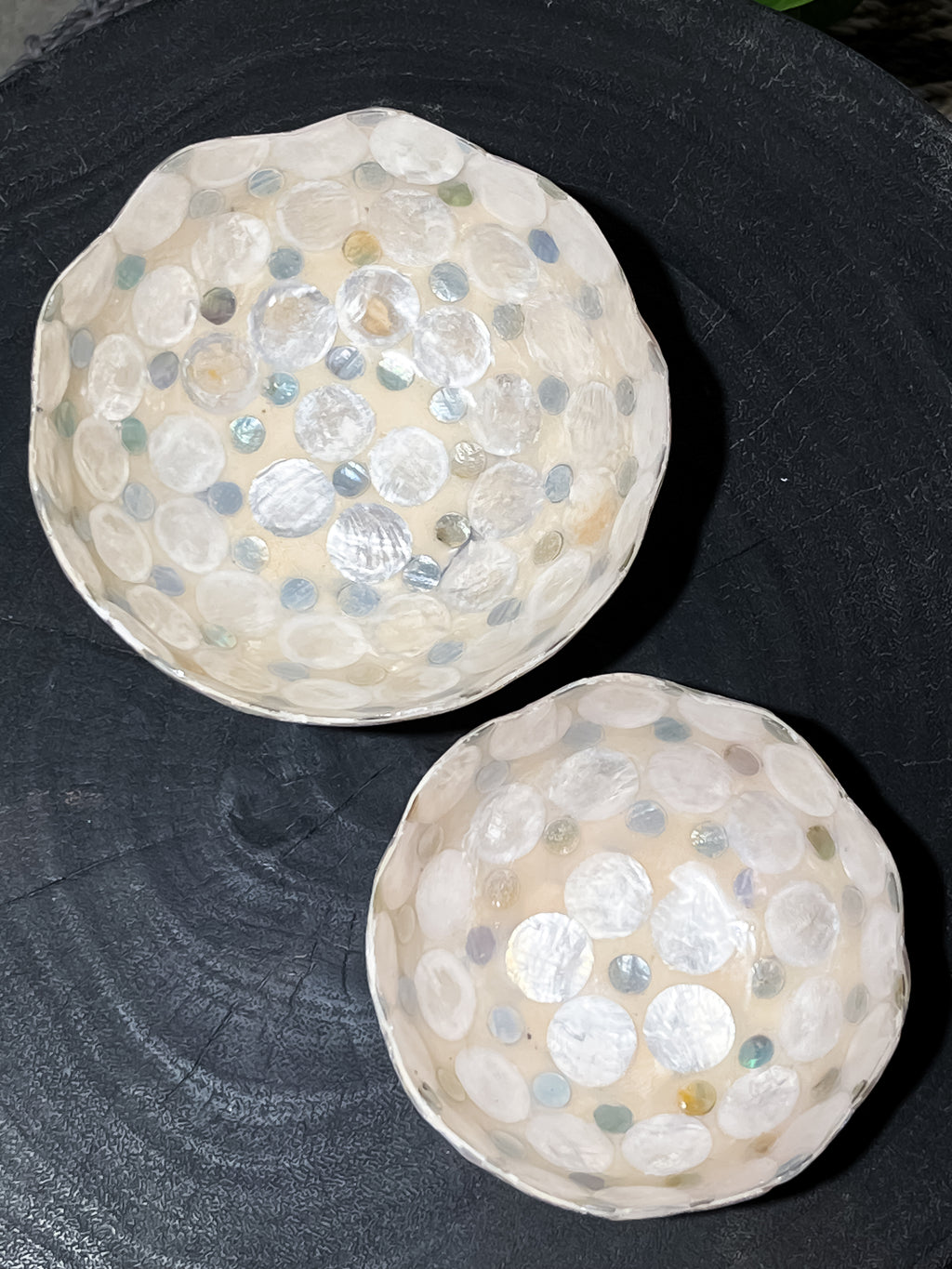 Floral Shells Bowl Decorative