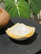 Prisma Shells Decorative Bowl