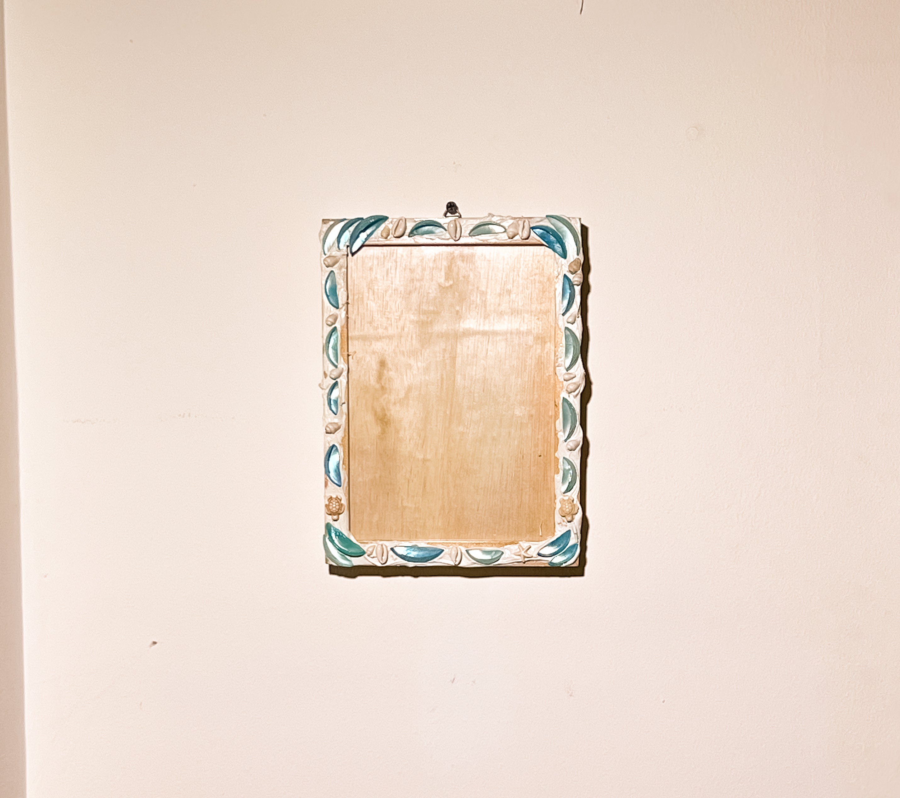 Shells Pictures Frame A5