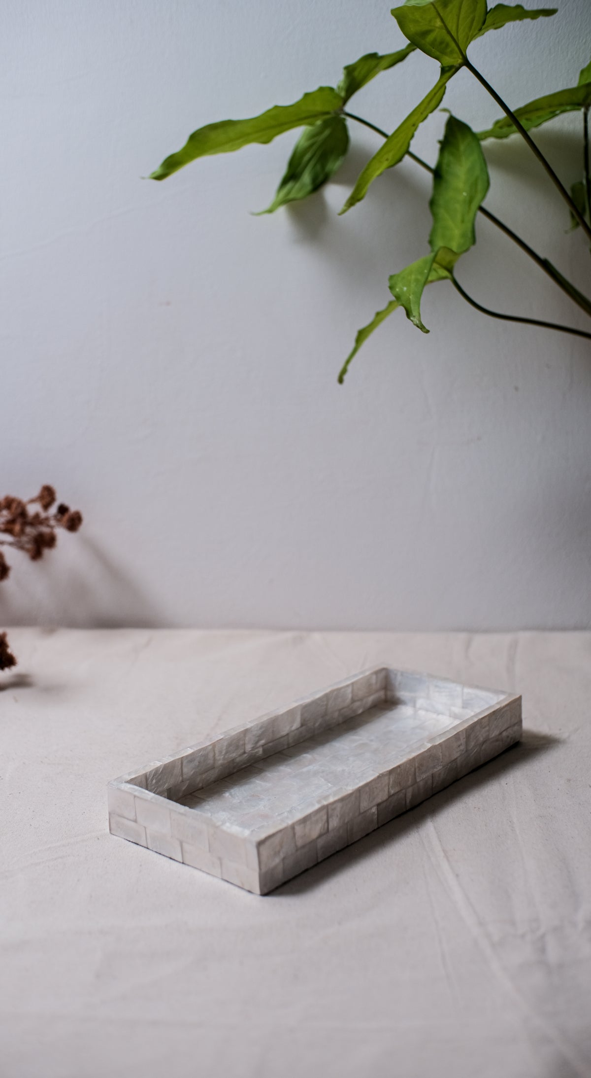 Dya Rectangle Shells Decorative Tray