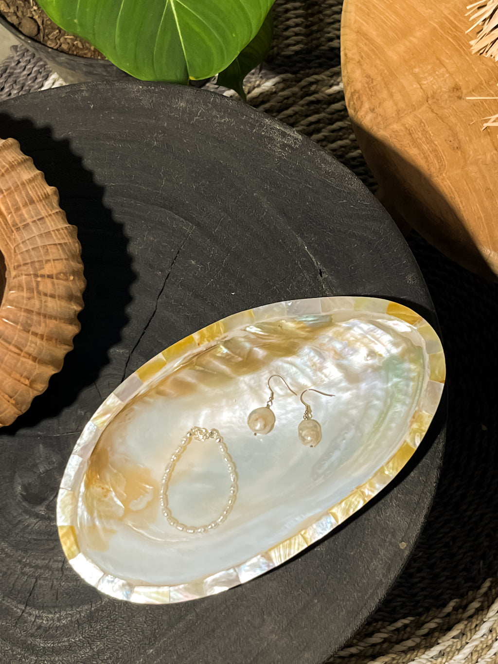 Sea Shells Decorative Tray