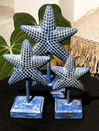 Star Fish Wooden Table Decoration Set