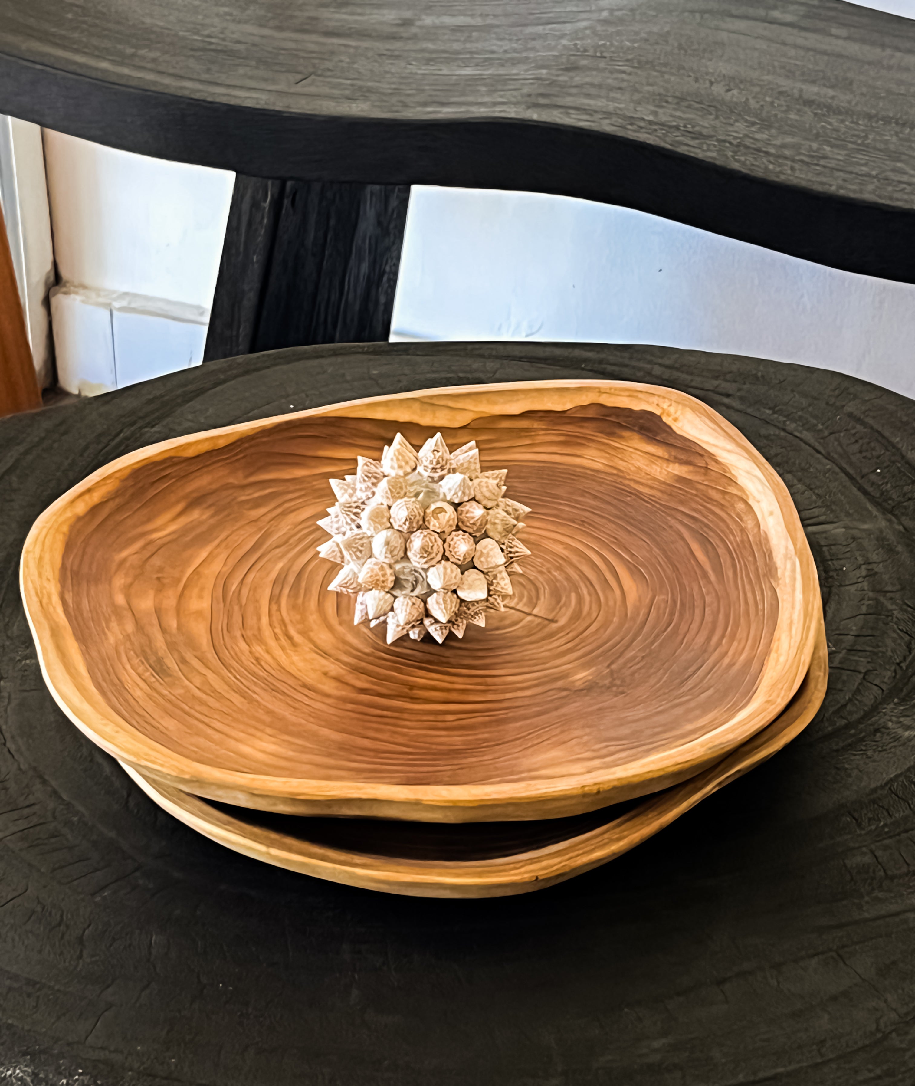 Slice of Wood Medium Plate