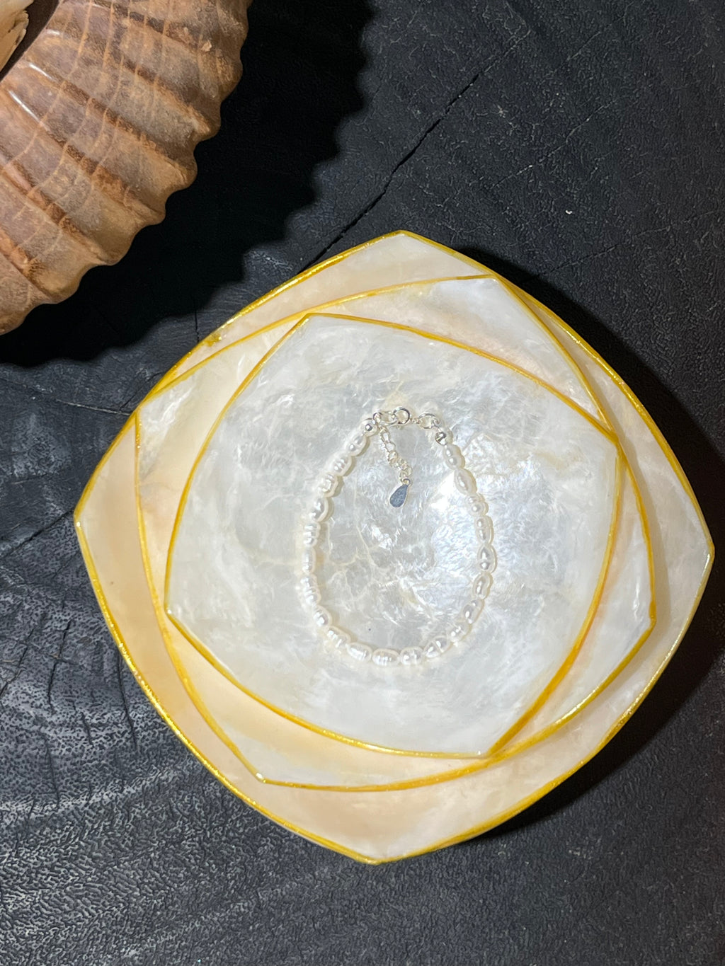 Prisma Shells Decorative Bowl