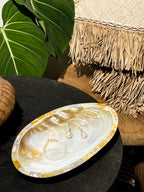 Sea Shells Decorative Tray
