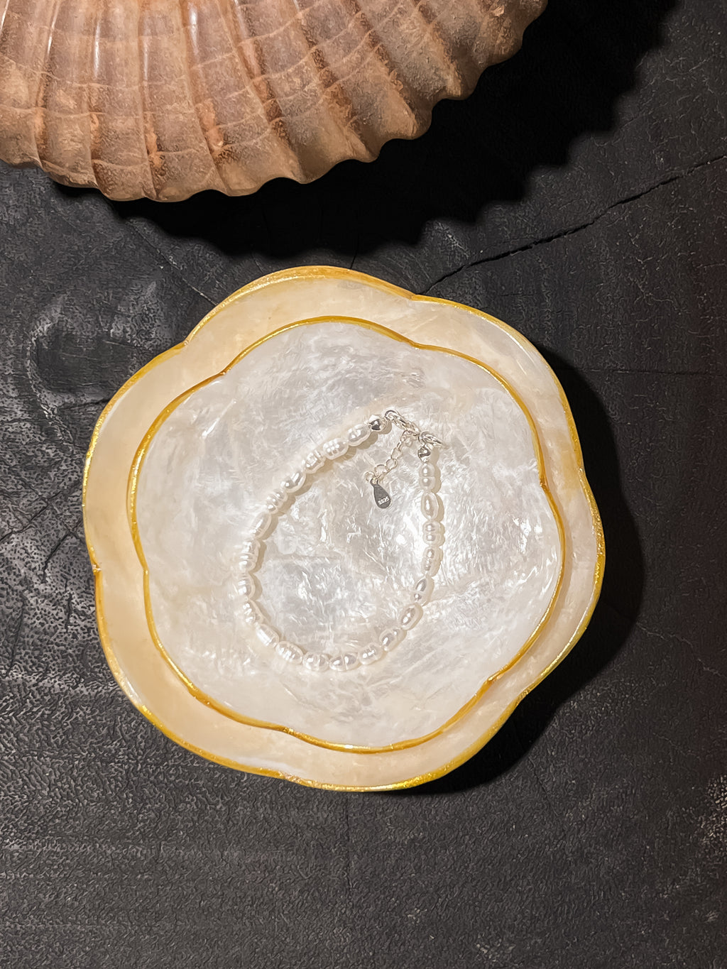Flora Shells Decorative