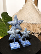 Star Fish Wooden Table Decoration Set