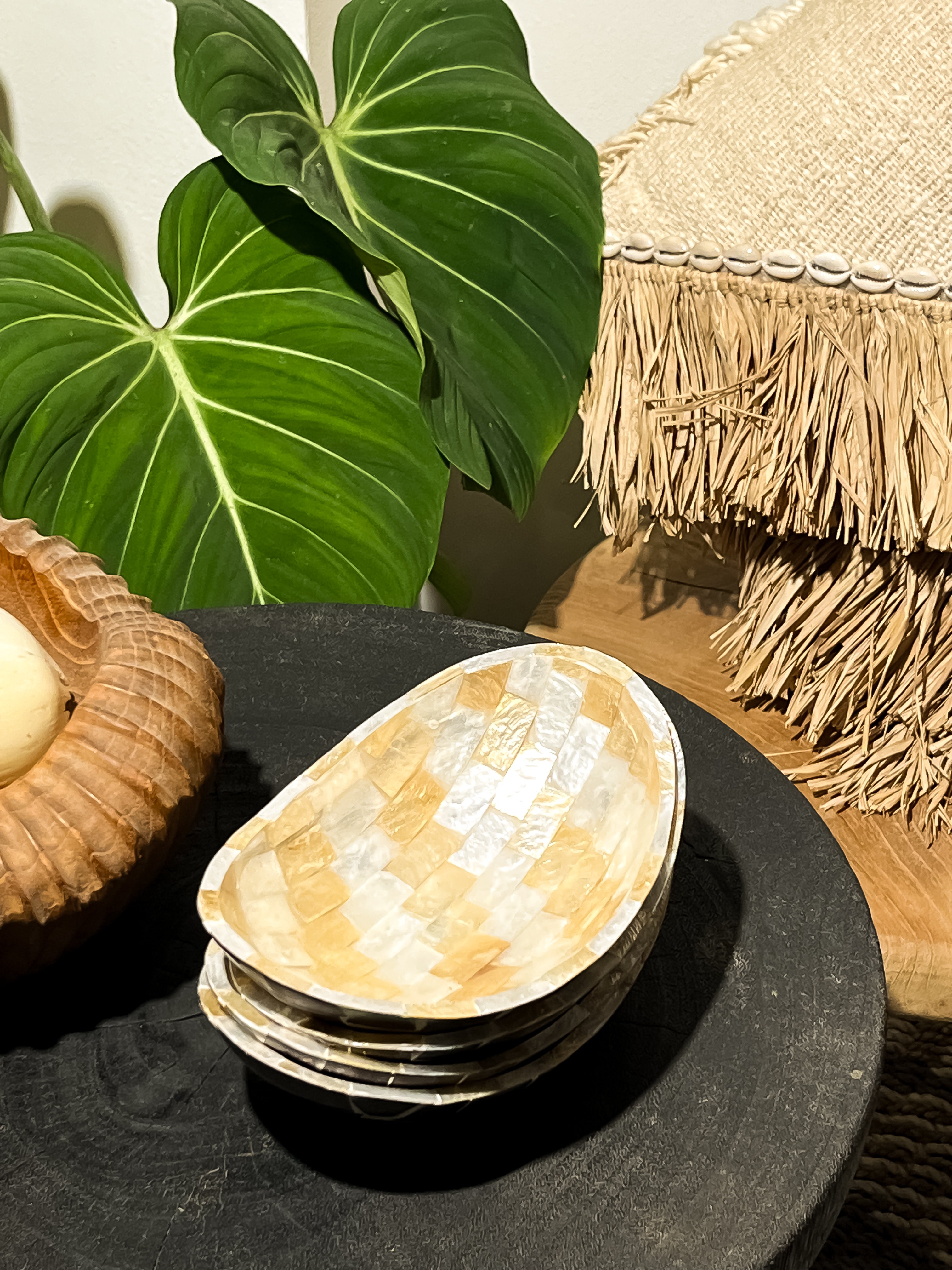 Decorative medium oval shells bowl with coconut shells