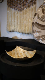 Square Decorative Shells Bowl