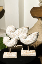 Nautilus Wooden Table Decoration in Set