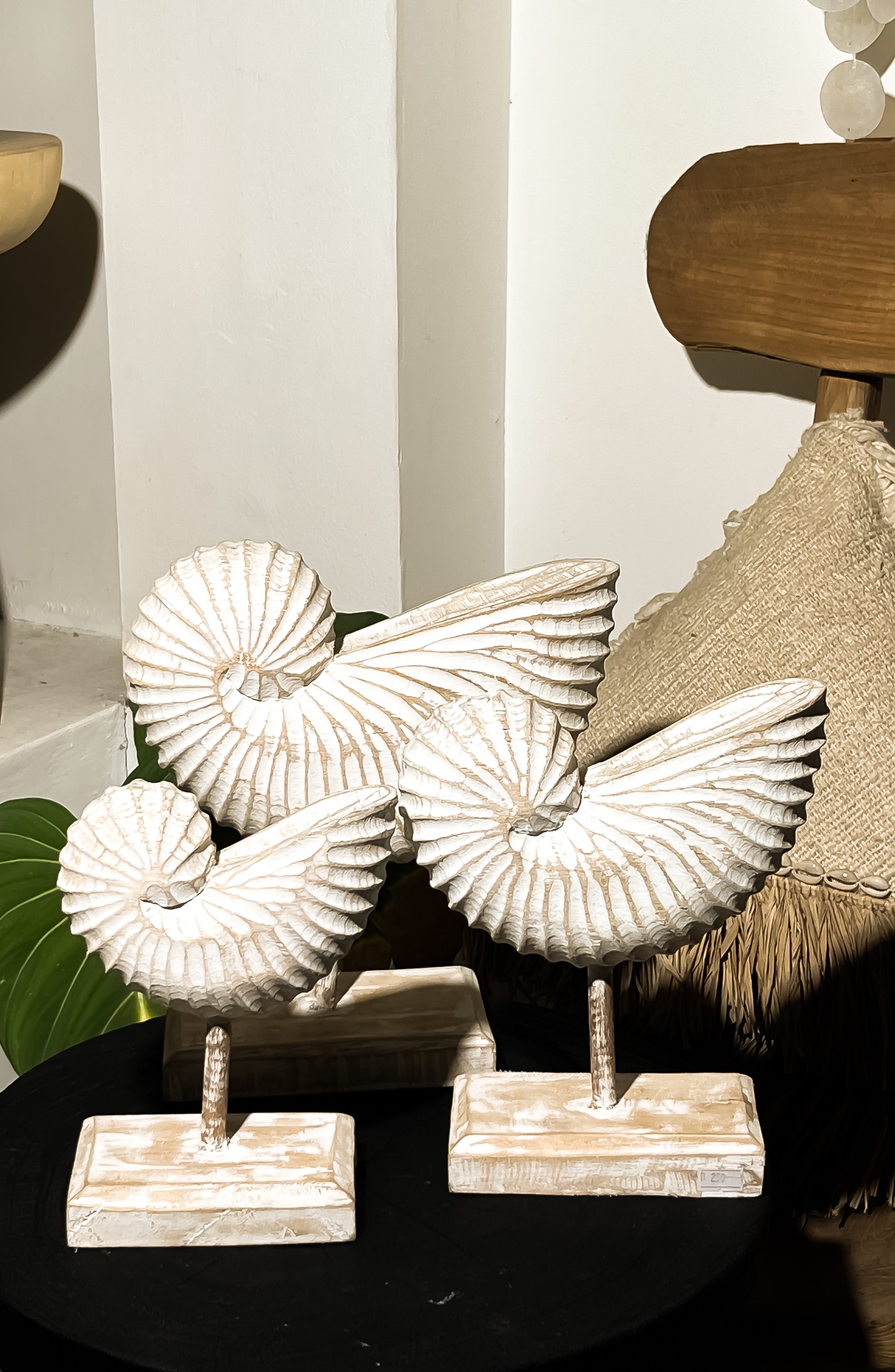Nautilus Wooden Table Decoration in Set