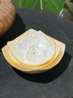 Prisma Shells Decorative Bowl