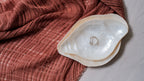 Conch Sea Shells Jewelry Trays