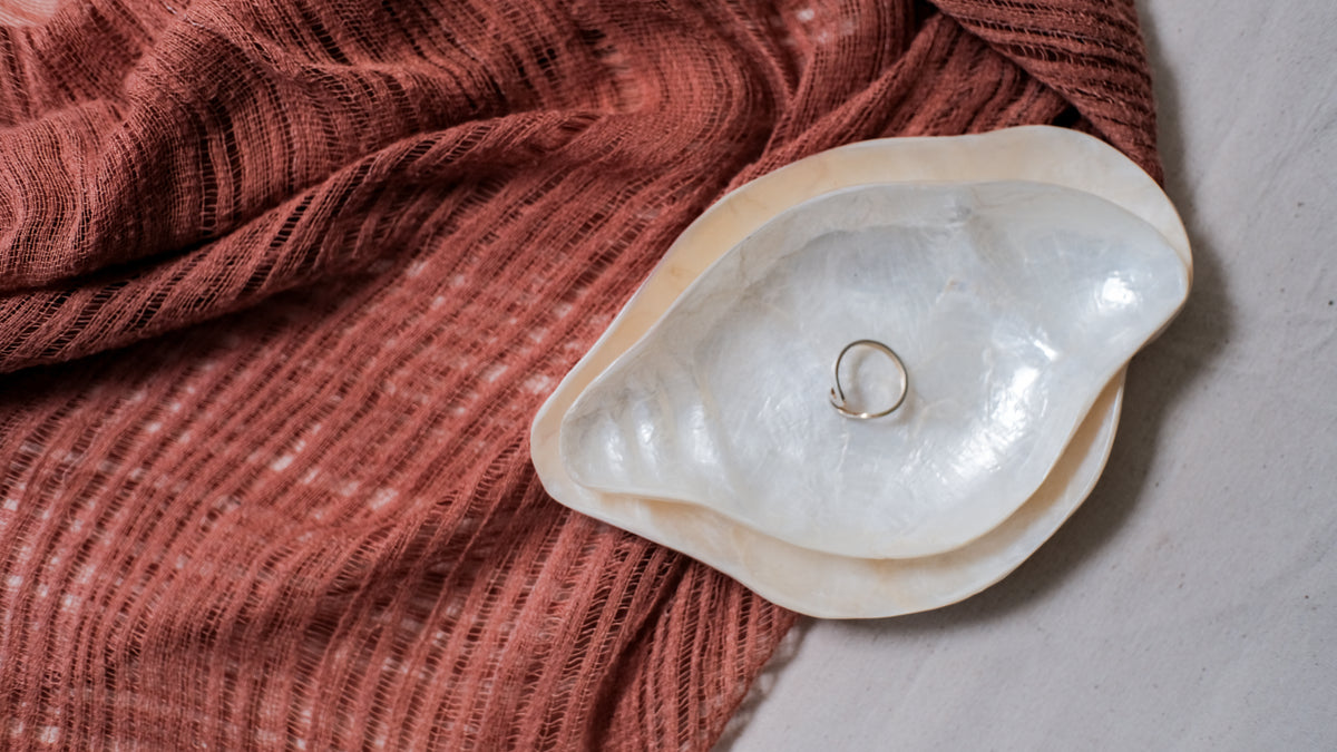 Conch Sea Shells Jewelry Trays