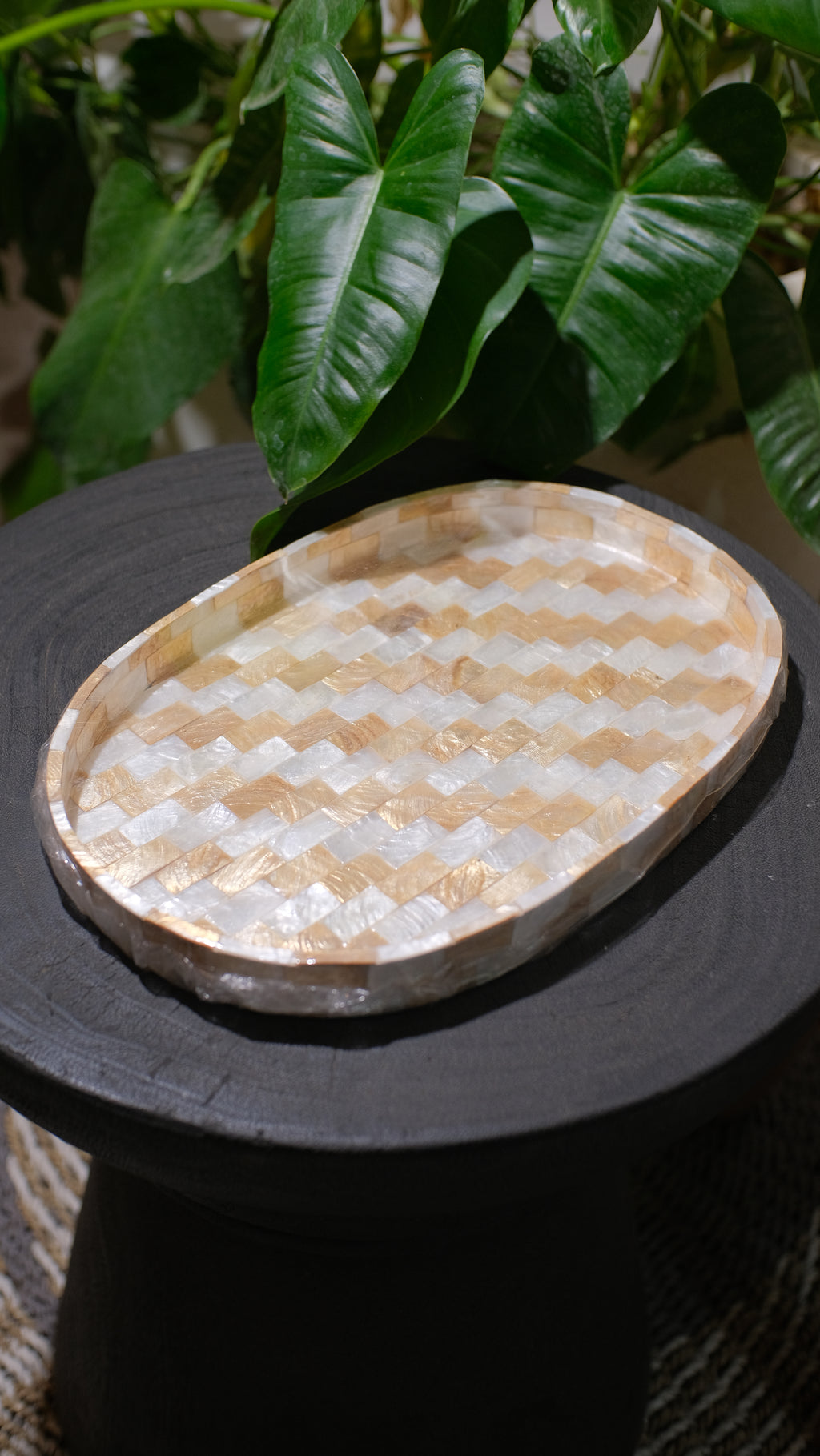 Oval Shells Decorative Trays Beige