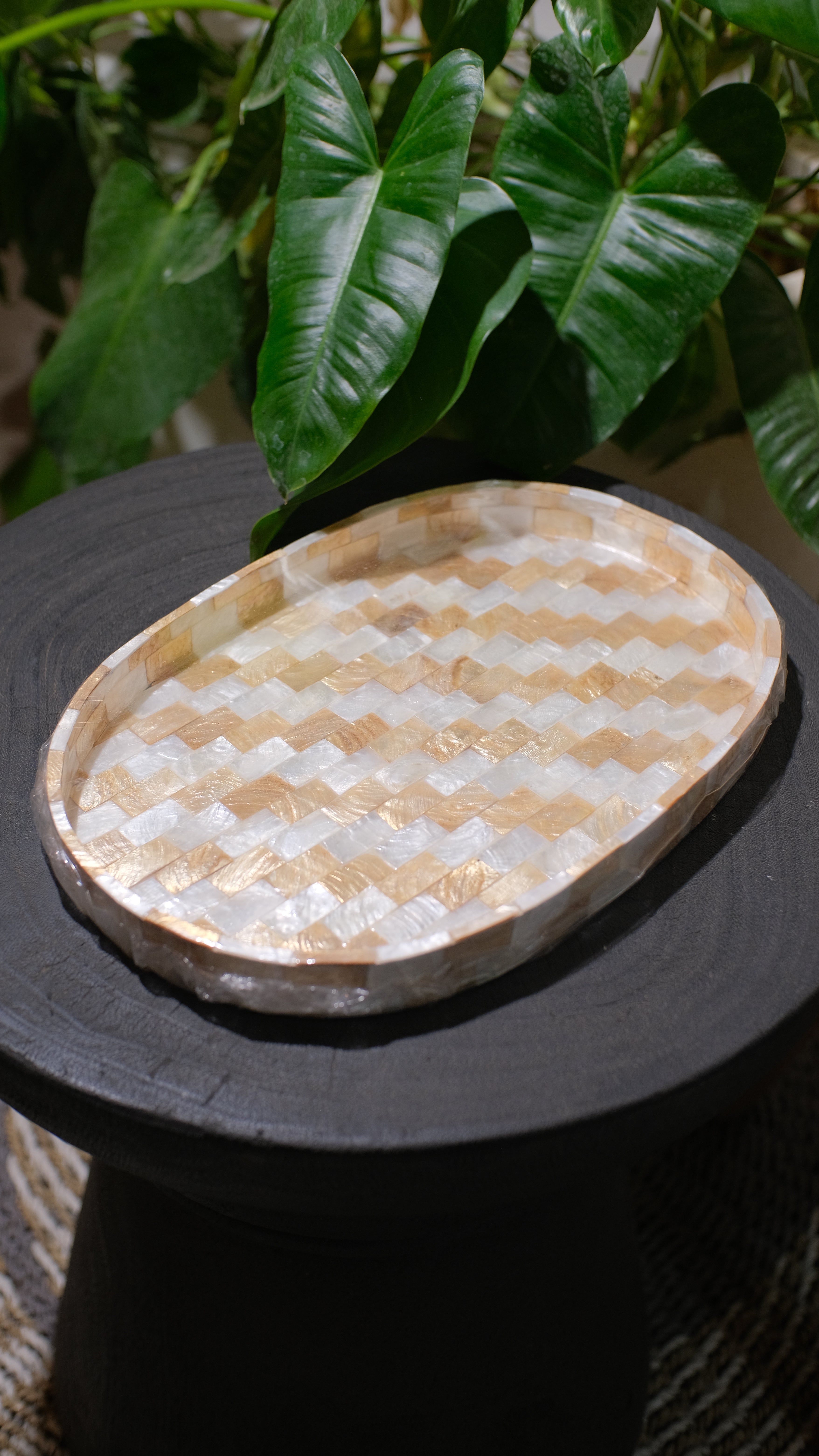 Oval Shells Decorative Trays Beige