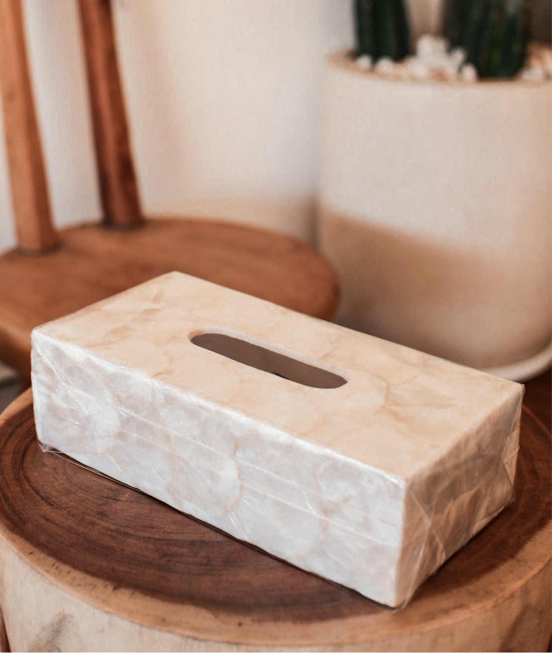 Shells Tissue Box