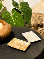 Rectangle Shells Jewelry Trays